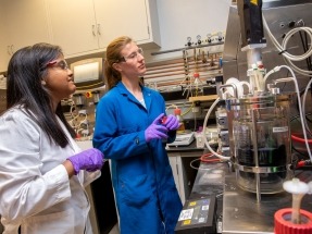 DOE Announces $590 Million To Increase Bioenergy Research