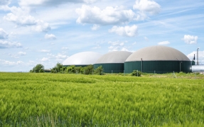 Naturgy construirá en Utiel (Valencia) una planta de biometano capaz de abastecer a 5.300 hogares