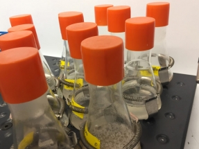 Washington University Receives $3.9 Million Grant for Biofuel Research