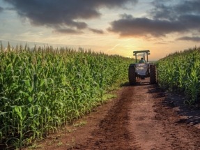 Brasil reimpone el impuesto a la importación de bioetanol