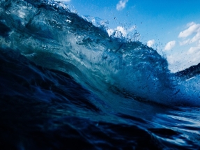Plainsight and MarineSitu Collaborate to Propel a Sustainable Blue Economy 