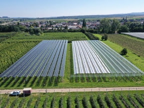 BayWa r.e. y Fraunhofer ISE desarrollan soluciones agro-fotovoltaicas para el sector frutícola