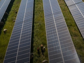 BayWa r.e. adquiere diez proyectos fotovoltaicos de 700 MW