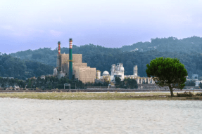 Ence y Naturgy cierran la mayor emisión de certificados de eficiencia energética de España