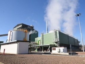 La planta de biomasa Biollano de Ence consigue el certificado de sostenibilidad Sure