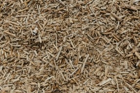 Desarrollan una estrategia que integra tecnologías sostenibles para optimizar la producción de bioetanol