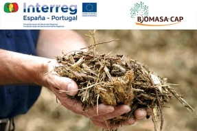 Biomasa CAP refuerza el potencial del uso de la biomasa no valorizada como fuente de energía alternativa