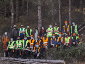 Pamplona trabaja para recuperar los bosques autóctonos