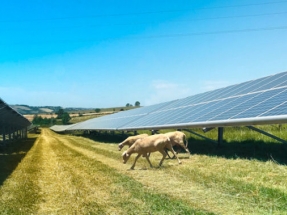 Boralex Acquires Controlling Interest in Seven US Solar Plants Boralex Acquires Controlling Interest in Seven US Solar Plants