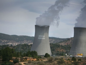 Ecologistas en Acción achaca la parada de Cofrentes a la mala praxis de Iberdrola