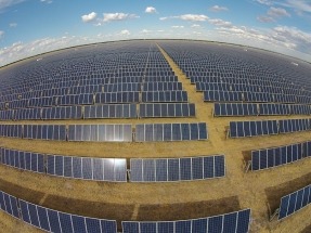 FRV inaugura en Australia el enorme campo solar Moree