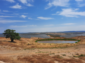 Iberdrola inicia la puesta en marcha de 100 nuevos megavatios solares en Extremadura