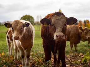 Growth of Farm Equipment Running on Alternative Energy