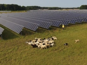 New Solar Projects Approved for Dominion Energy Virginia