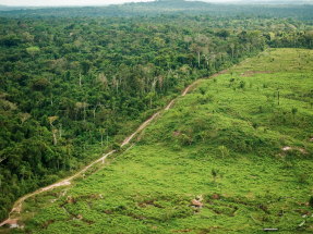 Zara y otras grandes marcas de moda alimentan la deforestación de la Amazonía, según un nuevo informe