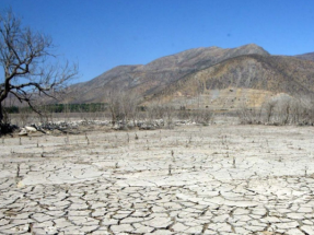 Unidas Podemos lleva al pleno del Congreso la propuesta para declarar el Estado de Emergencia Climática en España