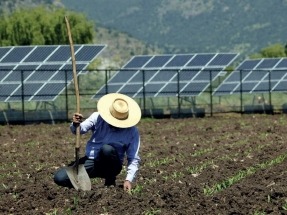 Dos miradas sobre la relación Renovables-Biodiversidad