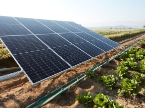 ABB Launches Innovative Solar Drive for Sustainable Water Pumping Globally