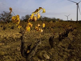 "La electrificación es una gran oportunidad para la España vaciada"