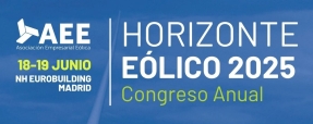 La AAE convoca al sector eólico nacional para analizar los retos de la industria del viento en España