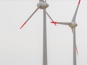 Palas con la punta roja para visibilizarse ante las aves y fustes con color tierra para integrarse en el paisaje: Ecoener