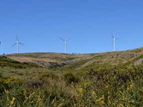 La patronal eólica gallega solicita al Gobierno que amplíe el plazo de tramitación de los proyectos con DIA favorable