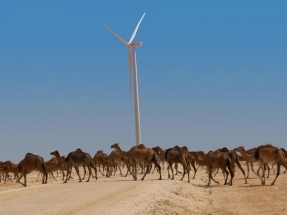 Elecnor se adjudica la construcción de su segundo parque eólico en Mauritania