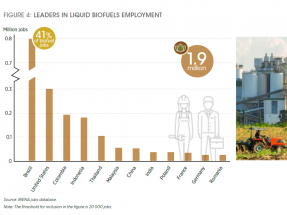 La bioenergía, con los biocarburantes a la cabeza, crece en empleos a escala mundial