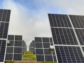 Endesa ha conectado en los últimos tres años casi 2.000 megavatios de potencia renovable