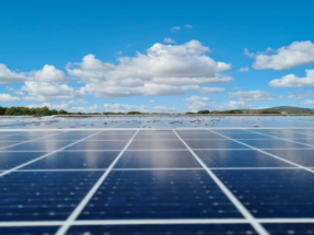 Avecox cubrirá el 20% de su consumo energético con energía solar