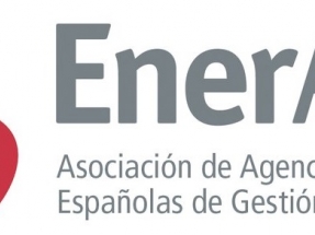 La Asociación de Agencias de la Energía asegura que ya hay más de 1.100 megavatios de autoconsumo en España