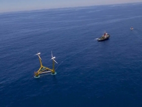  Los ecologistas dicen sí a la eólica marina en el marco de una "transición ecológica rápida" 