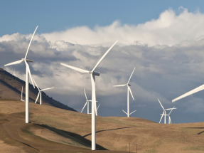 Bruselas quiere un 50% de electricidad a partir del viento en Europa para 2050