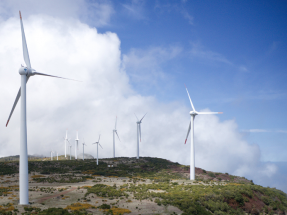ecovatios suministrará energía 100% renovable a las oficinas de ACNUR en España