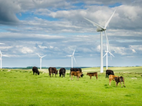  El Miteco organiza varias jornadas sobre la integración de las energías renovables en el territorio 