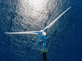El cable eléctrico submarino que mejora la biodiversidad marina gracias a una innovadora tecnología de hormigón ecológico