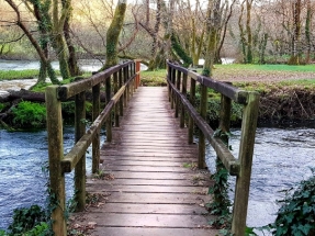 La Xunta de Galicia ya tiene Estrategia de Cambio Climático y Energía 2050