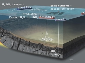 Los fondos marinos albergan un inmenso potencial geotérmico 