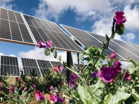 La fotovoltaica será en 2027 la tecnología de generación de electricidad más barata en todo el mundo menos en Groenlandia