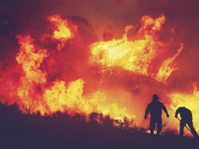 Does Solar Stand a Chance Against California Wildfires?