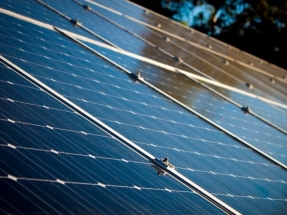 El Supremo avala el recorte de las primas a la fotovoltaica