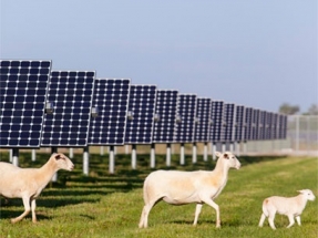 Major Solar Energy Project Announced by Florida Municipal Utilities Major Solar Energy Project Announced by Florida Municipal Utilities