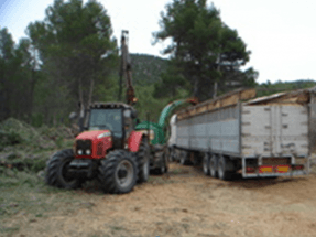 Región de Murcia: clúster y plan para desarrollar la biomasa de origen forestal