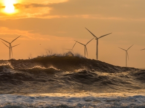 La UPV reúne en Bilbao a la élite académica de las energías renovables marinas