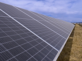 Iberdrola anuncia la puesta en marcha de la macro planta solar Francisco Pizarro