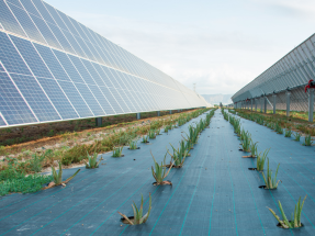 La energía solar de Endesa supera por primera vez el teravatio hora de producción