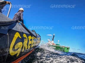 Greenpeace señala 2022 como el año de los récords en impactos agravados por el cambio climático