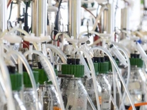 Europe Converting Waste to Biogas for Biofuel Europe Converting Waste to Biogas for Biofuel