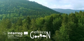 Gefrecon ofrece cursos gratuitos para prevención de incendios y creación de empresas forestales