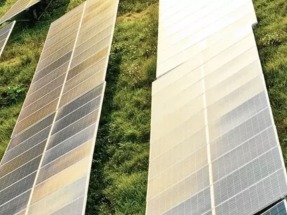 Una asociación de granjeros de Estados Unidos desplegará 500 MW solares comunitarios en tierras agrícolas